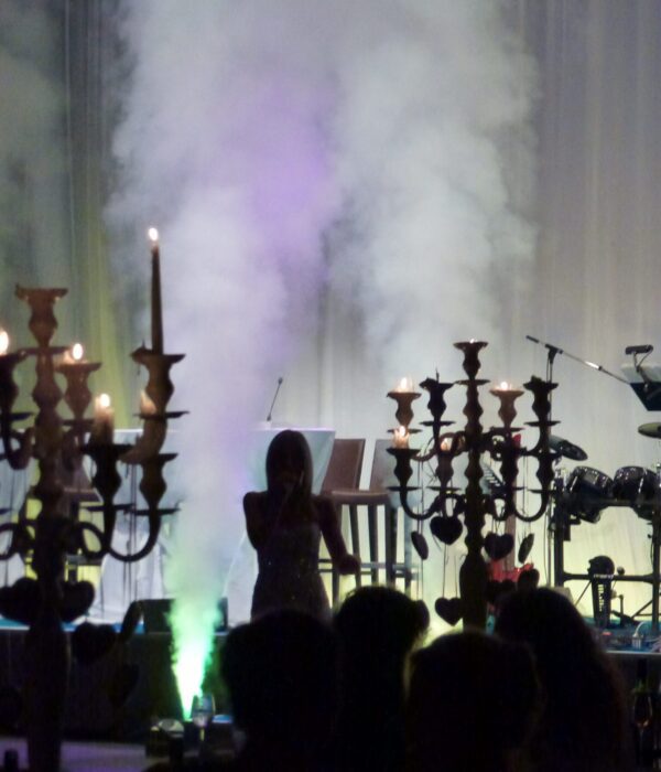 Helene Fischer Tribute Dinner (4)